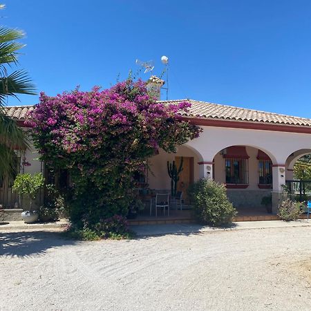 Villa Entre Mer Et Montagne Arcos de la Frontera Buitenkant foto