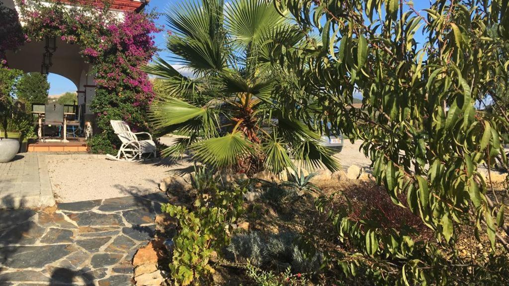 Villa Entre Mer Et Montagne Arcos de la Frontera Buitenkant foto