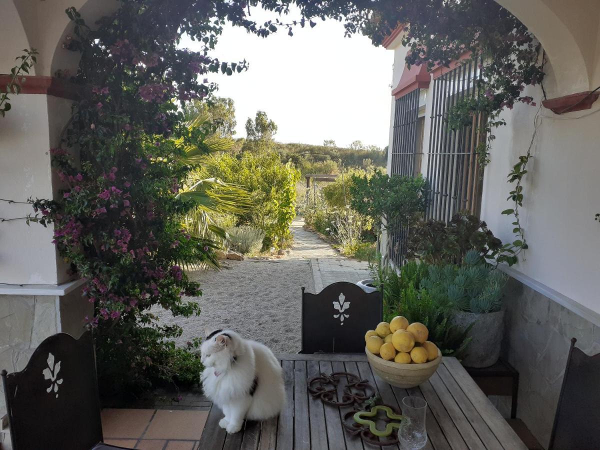Villa Entre Mer Et Montagne Arcos de la Frontera Buitenkant foto