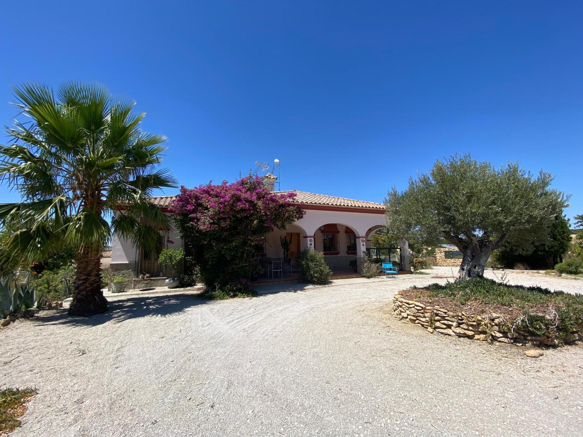 Villa Entre Mer Et Montagne Arcos de la Frontera Buitenkant foto